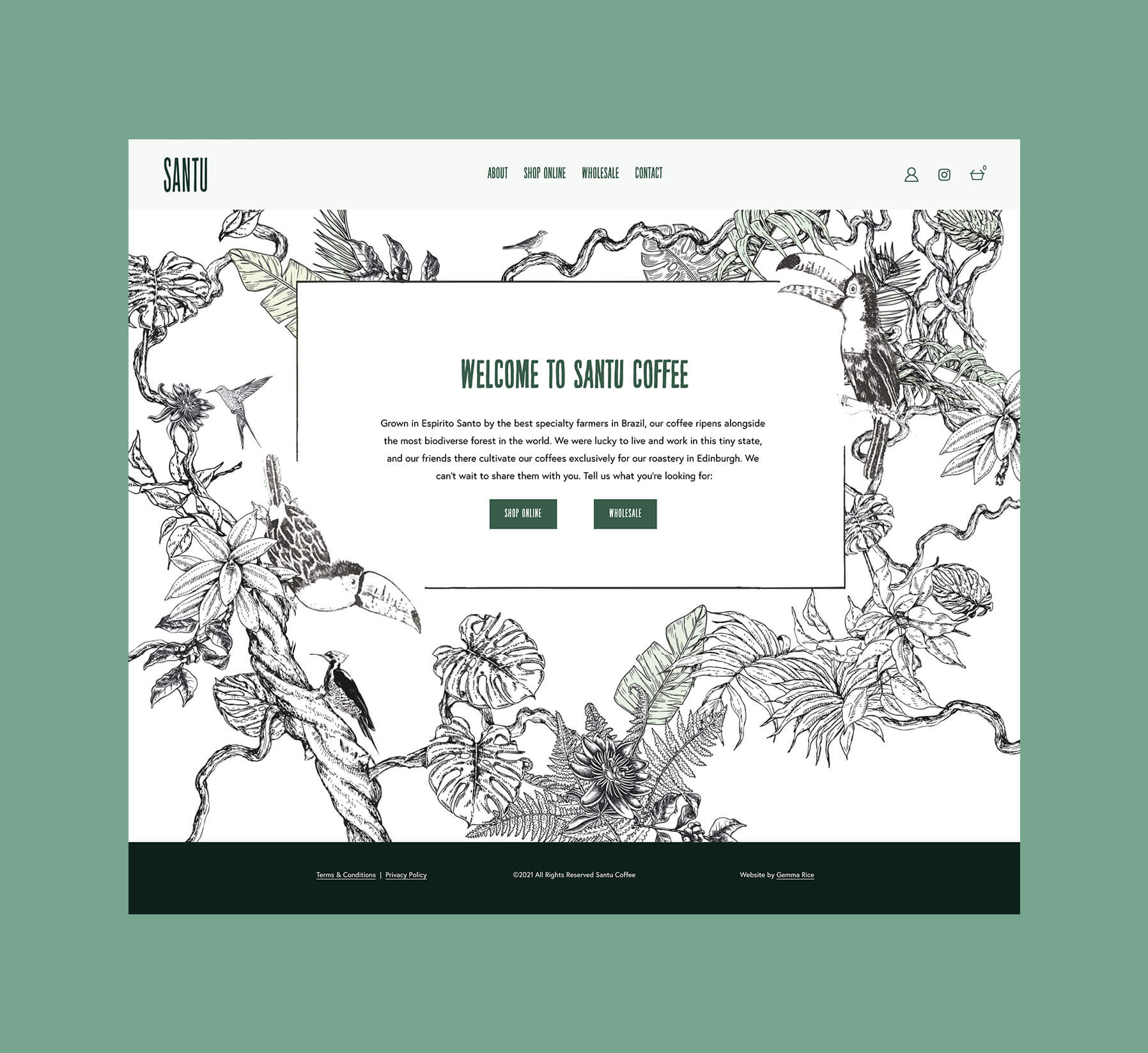 Website design for coffee company with rainforest illustration